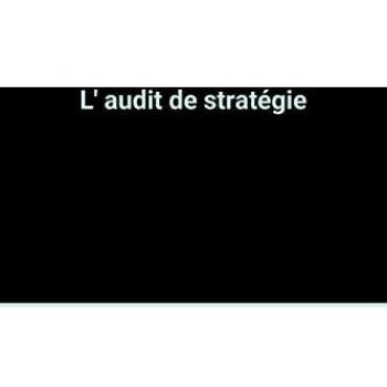 L'audit De Stratégie