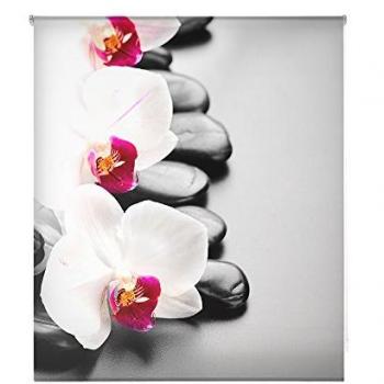 Estor enrollable traslúcido zen HSCZ1465 140x250cm