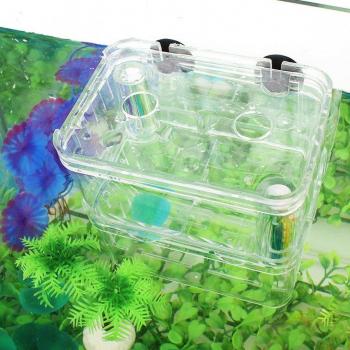 Double Compartment Fish Breeder Box