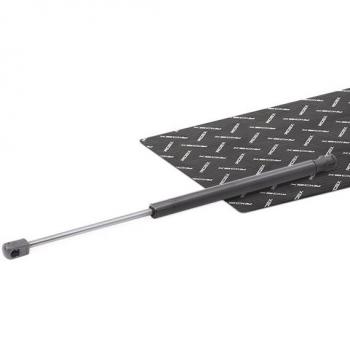 RIDEX 219G1054