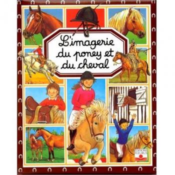 Poney et cheval