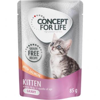 12x85g Kitten saumon en sauce Concept for Life Sachets pour chat