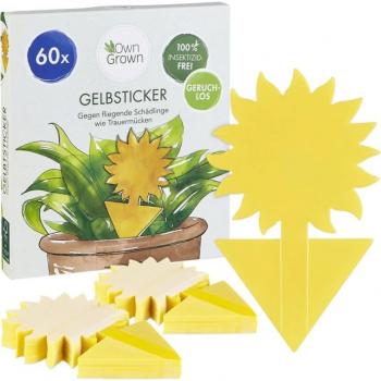 Attrape Mouche Fruits Tournesol Own Grown – 60 pièces