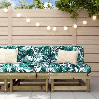 VidaXL Garden Seating Sofas 2 pcs Pine Wood