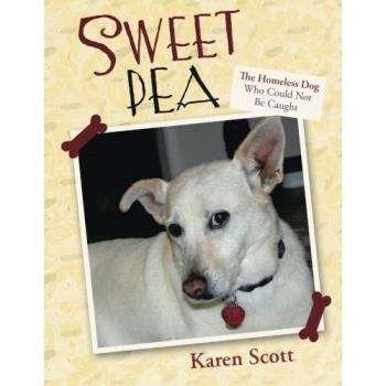 Sweet Pea: The Homeless Dog Who Could Not Be Caught