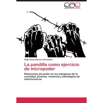 La pandilla como ejercicio de micropoder: Relaciones de poder en los márgenes de la sociedad, jóvenes, violencia y estrategias de sobrevivencia