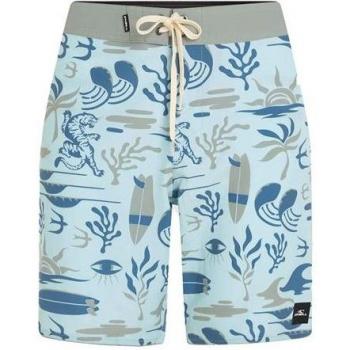 Pantaloncino da bagno O'Neill Hyperfreak Mysto Scallop Blu 19''