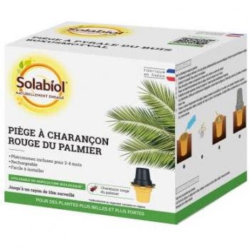 Captureur de phéromones pour le charançon rouge du palmier