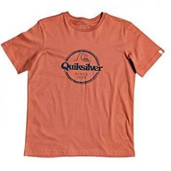 T-shirt Quiksilver Words Remain pour Garçon 8-16 Ans, Redwood, XL