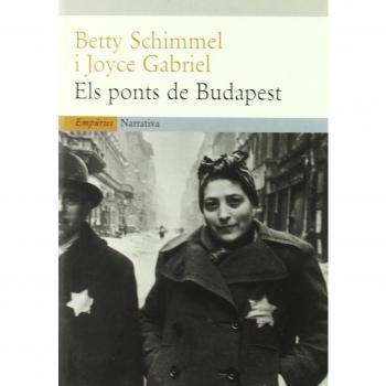 Els ponts de Budapest