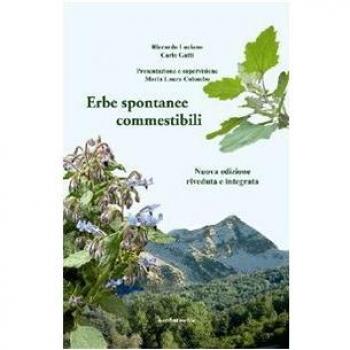 Erbe spontanee commestibili