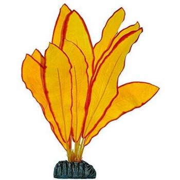 Planta Echinodorus de Seda 30cm