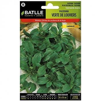 Semillas de Valeriana Canónigos Verde de Louviers