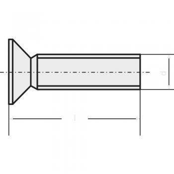 Vite svasata M2 10 mm Impronta T Acciaio inox A2 1 pz