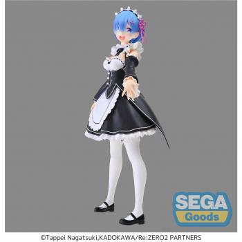 Re:Zero Rem Salvation