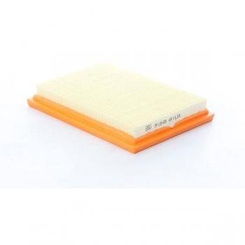 30135028 BSG High‑Efficiency Air Filter