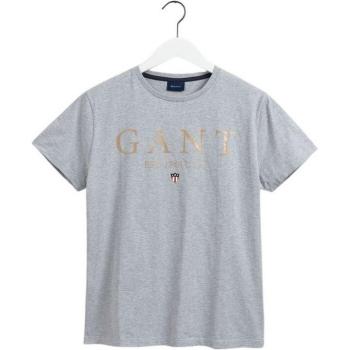 Gant Banner Shield Graphic T-Shirt
