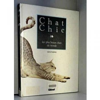 CHAT CHIC PLUS BEAUX CHATS DU MONDE