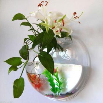 Acrylic Wall-Mounted Plant Vase