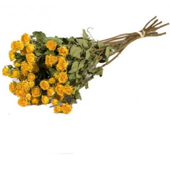 Roses séchées naturelles jaunes