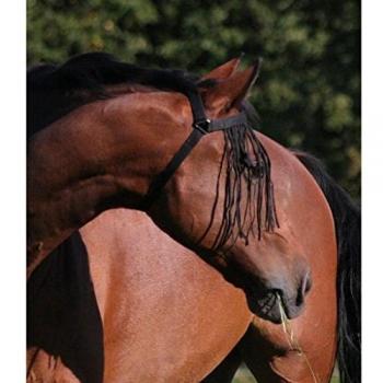 Waldhausen PON Black Head Part Fringe