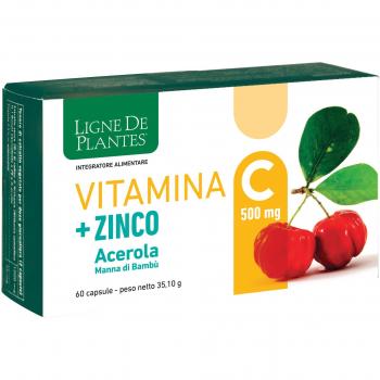 VITAMINA C 500MG + ZINCO + ACEROLA E MANNADIBAMBU' 60 CPS