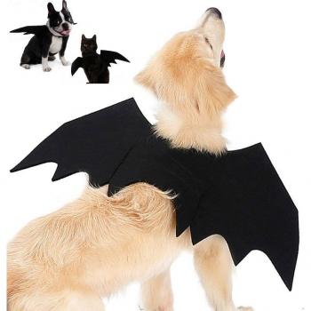 Pet Black Bat Wings Halloween Dress-Up Outfit