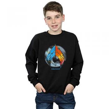 DC Comics Boys Aquaman Tropical Sweatshirt