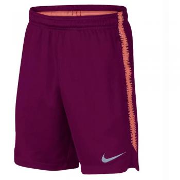 Nike FCB m NK Dry sQD Short K – Pantalon Court, Homme, Multicolore (Deep Maroon/LT Atomic Pink)