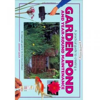 A Practical Guide to Creating a Garden Pond and Year-round Maintenance