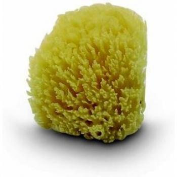 Spugna Jane 040103C01 Naturale X2