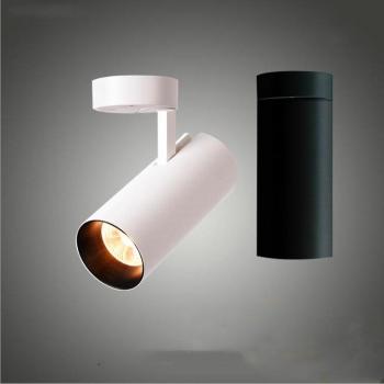 360° Rotating LED Ceiling Light