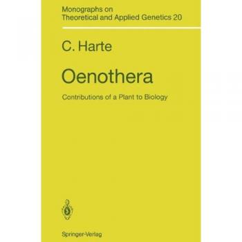 Oenothera