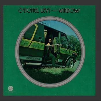 Windows by Lewis Soloff