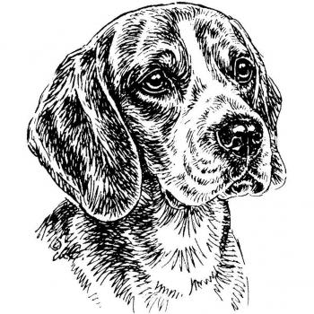Beagle‑Schild mit Aufschrift „Hier wache ich!“