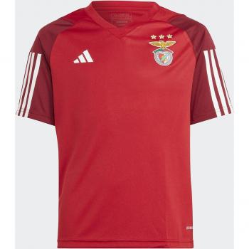 T-shirt Benfica 2023/2024 Allenamento