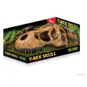 Exo Terra T-Rex Fossiel Beeld