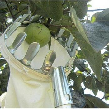 Convenient Fruit Collector