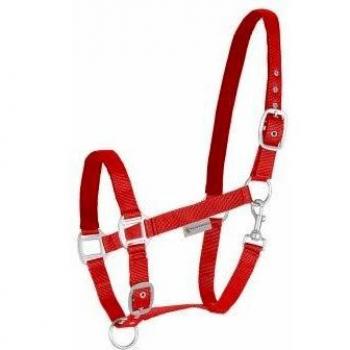 Shetland Wool Waldhausen Red Halter Satin