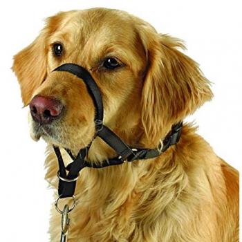Colgante de Adiestramiento Kerbl Maxi Coach para Perros