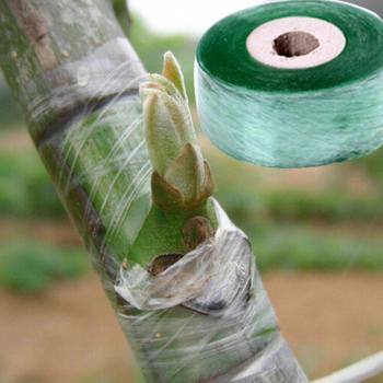 Bande de greffage jardinier 2 cm x 100 m