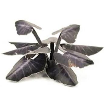 Gamer Gras Laser Pflanzen