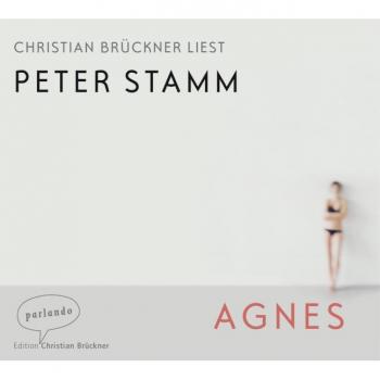 Peter Stamm Agnes