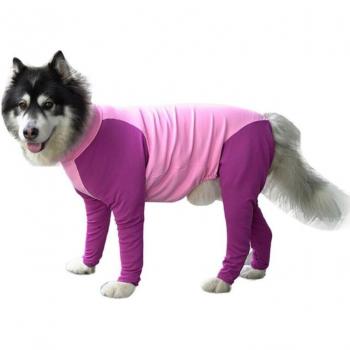 Stylischer Schlafanzug für Collies und Labradore