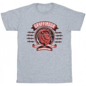 Harry Potter Mens Gryffindor Toon Crest T-Shirt L grey
