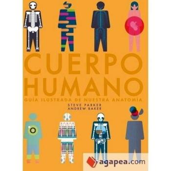 CUERPO HUMANO