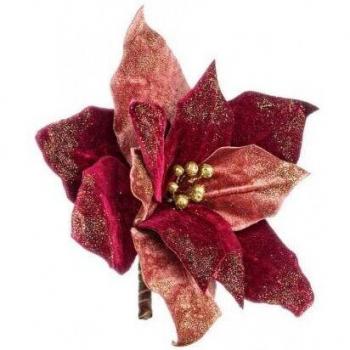 Poinsettia di Natale Rosso 4x