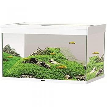 Askoll Emotions Pro 120 Ciano Bianco