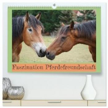 Premium Wandkalender 2024 Pferdefreundschaft