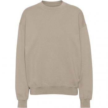 Rundhals-Sweatshirt Colorful Standard Organic oversized oyster grey